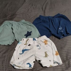 Kids Dinosaur Print Shorts Set - Blue, Green, White